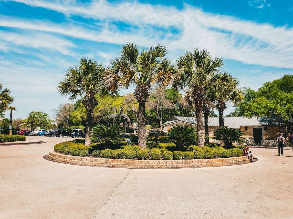 Palms on a landscaped island at a neighborhood entrance